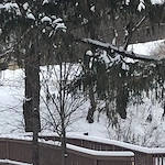 Image of Parkside Apartments (6)