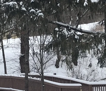 Image of Parkside Apartments (6)