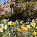 Image of Heath Village Senior Living (8)