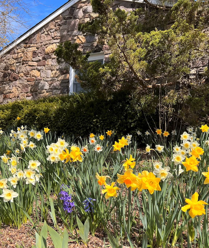 Image of Heath Village Senior Living (8)