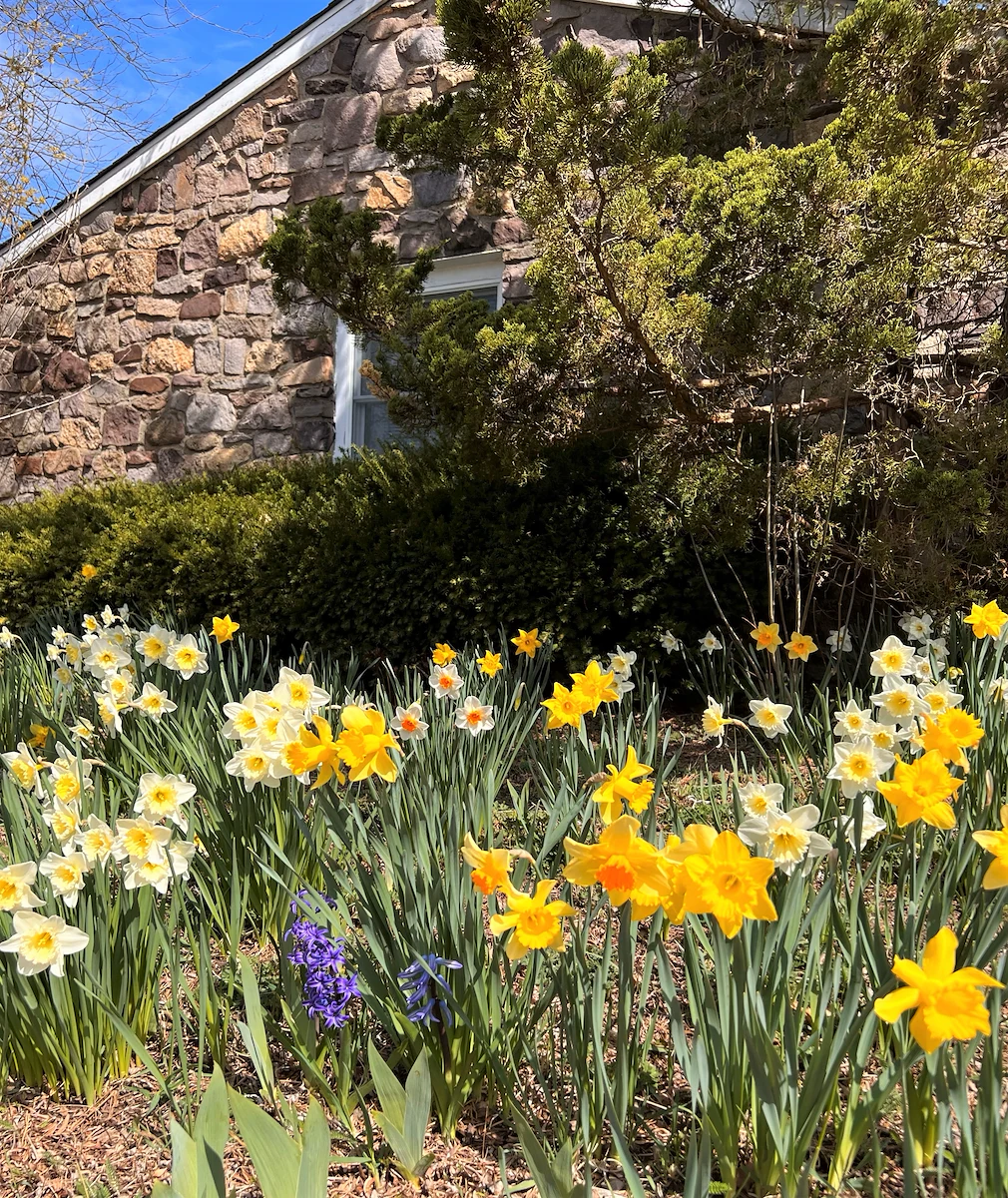 Image of Heath Village Senior Living (8)