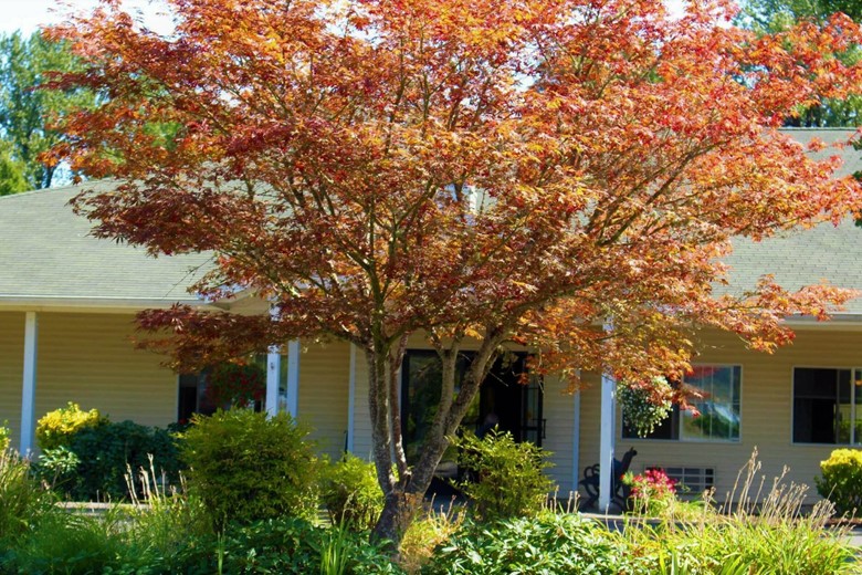 Image of River Park Senior Living (6)