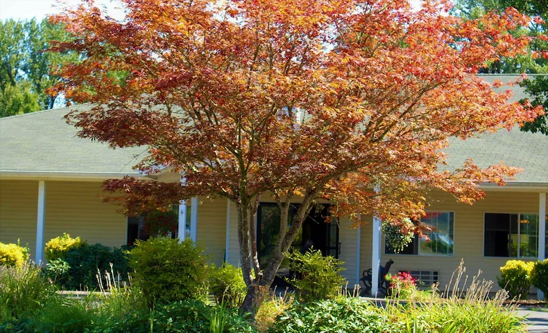 Image of River Park Senior Living (8)