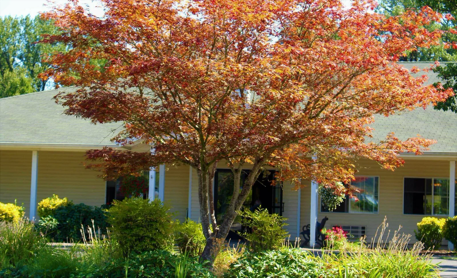 Image of River Park Senior Living (8)