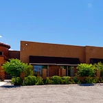 Image of Plum Tree (1)