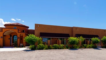 Image of Plum Tree (1)