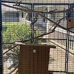 Image of The Gardens of Riverside (7)