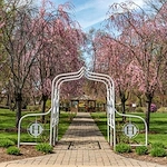 Image of Sterling Lofts (10)