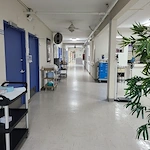 Image of Millennium Institute For Advanced Nursing Care (2)