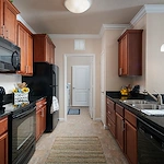 Image of Arietta Sarasota (7)