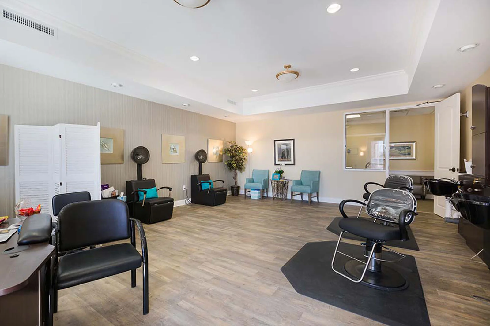 Image of Independence Village of Fishers East (Saxony) (4)