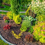 Image of The Atriums Senior Living Community (2)