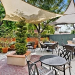 Image of Kirkwood Orange (9)