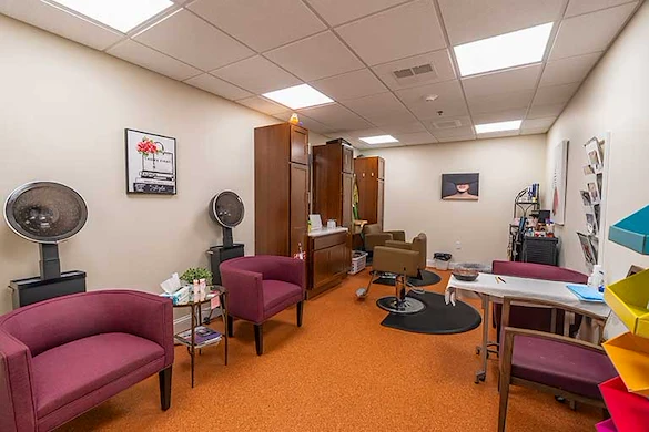 Image of The Carriages of Decatur (8)