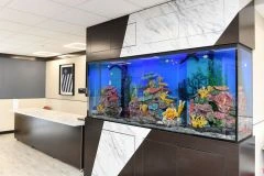 Image of The Enclave At Rye  Rehab And Nursing Ctr (5)