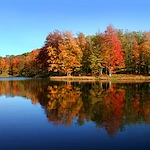 Image of Connect55+ Spartanburg - Coming Soon (3)