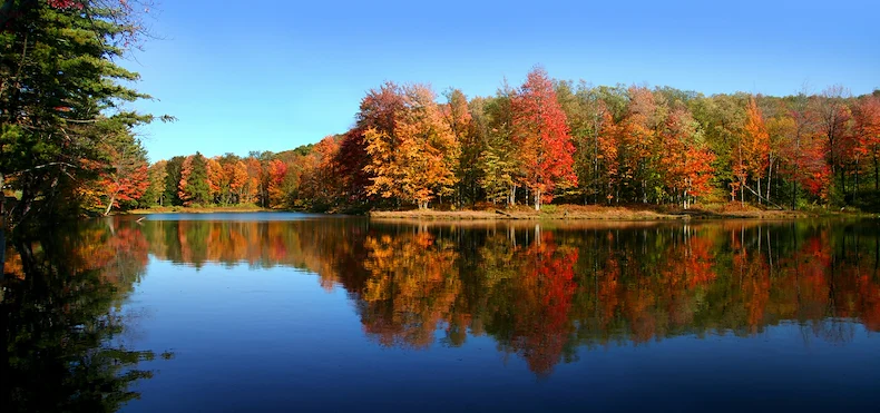 Image of Connect55+ Spartanburg - Coming Soon (3)