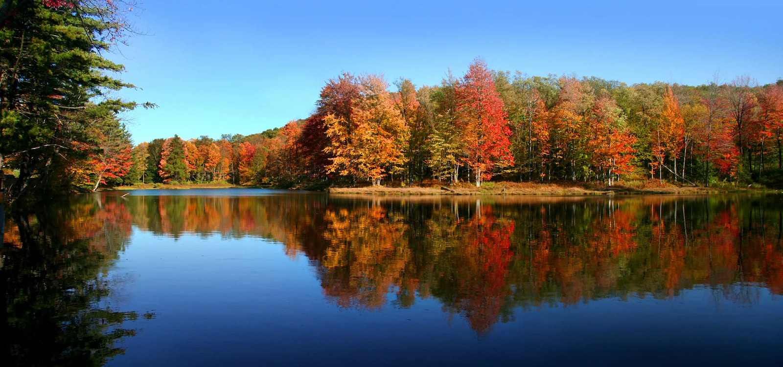 Image of Connect55+ Spartanburg - Coming Soon (3)