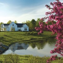 Image of Crosswell Trace Garden Homes at Encore Village (2)