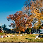 Image of Lyndon Crossing (5)