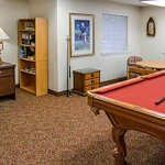 Image of Cherry Laurel - Sky Active Living (8)