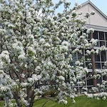 Image of Creekside Gables (8)