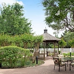 Image of Sunrise of Plano (10)