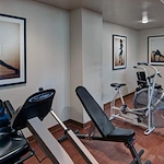 Image of Amber Lights (8)