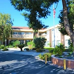 Image of The Olive Branch (1)