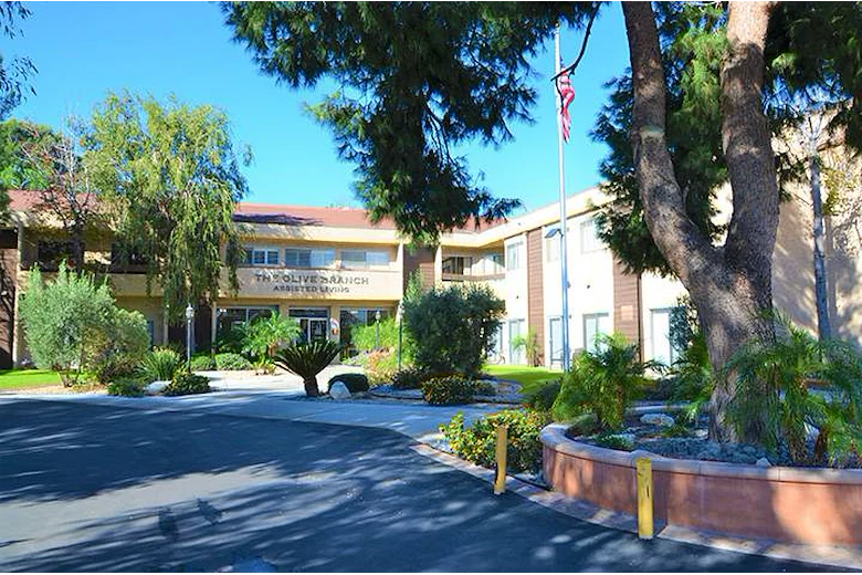 Image of The Olive Branch (1)