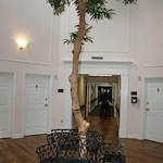 Image of Charlestown Place at New Albany Senior Living (9)