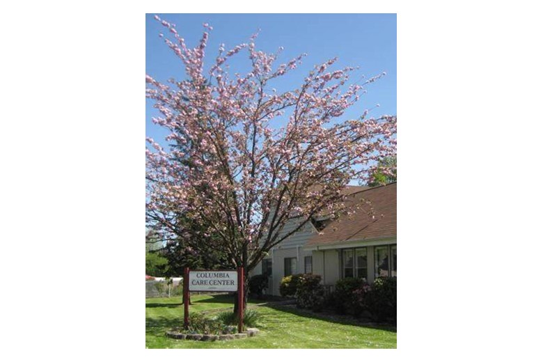 Image of Avalon Care Center - Scappoose (1)
