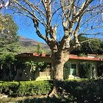 Image of The Country Inn Retirement Home (1)