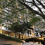 Image of Good Samaritan - Pohai Nani (4)