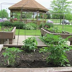 Image of Lasata Care Center (8)