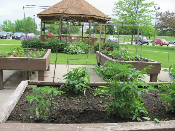 Image of Lasata Care Center (8)