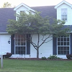 Image of Brewster Parke Independent Living (2)