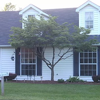 Image of Brewster Parke Independent Living (2)