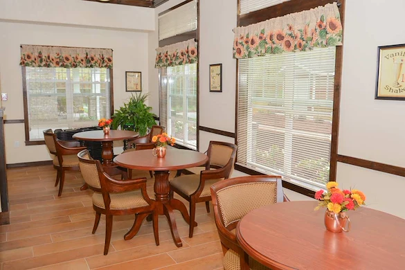 Ashwood Meadows Independent Living Hawthorn Senior Living in Johns Creek, Georgia dining room