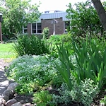 Image of Allegan County Medical Care Facility (2)