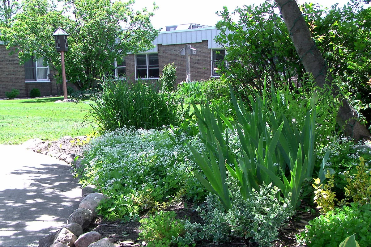 Image of Allegan County Medical Care Facility (2)