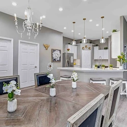 Image of Silver Leaf Wimberley (5)