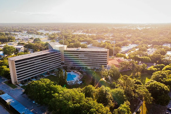 Image of Mease Life (1)