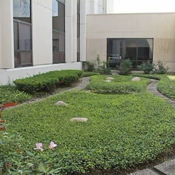 Image of Niles Nursing & Rehab (2)