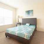 Image of Silver Birch of Mishawaka (6)