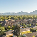 Image of The Ridge Cottonwood (1)