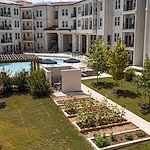 Image of Sage Stone Oak (1)