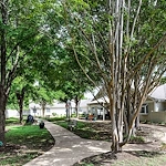 Image of Arden Courts of Austin (9)
