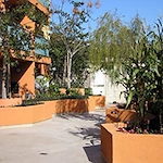 Image of Hollyview (5)