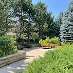 Image of The Village of Bear Creek (10)